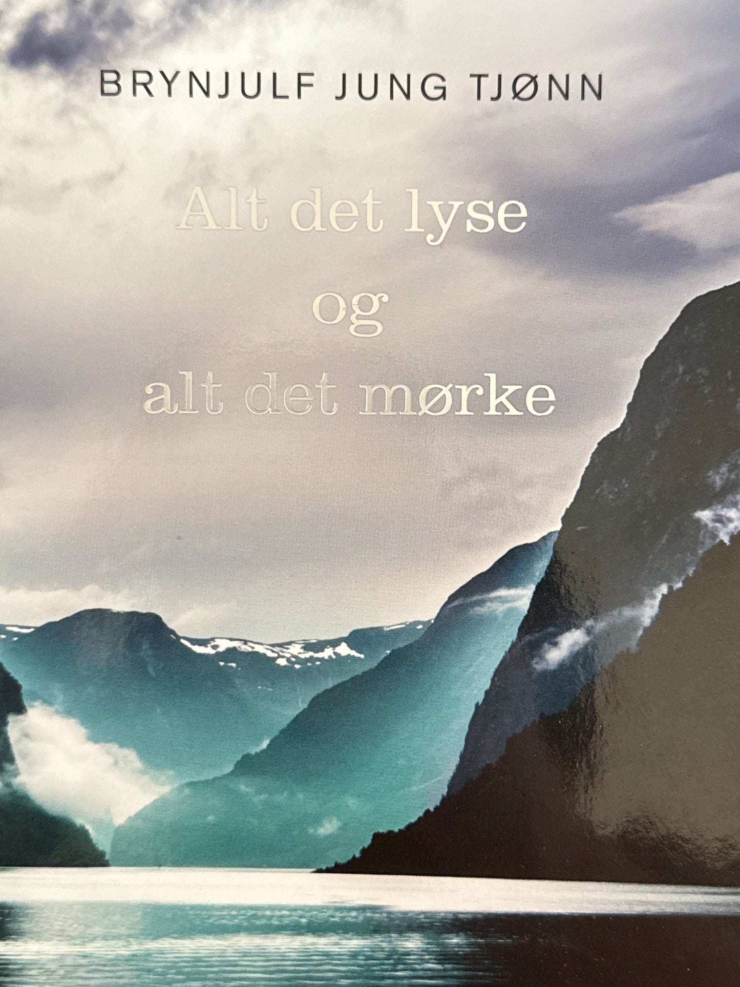 Alt det lyse og alt det mørke - Innbundet