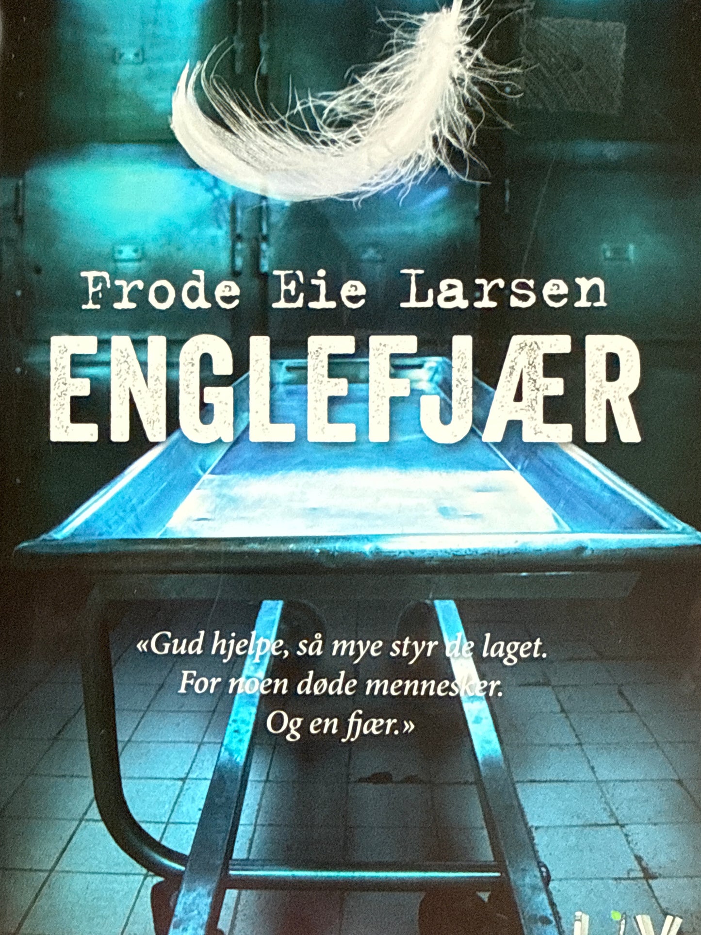 Englefjær - Innbundet