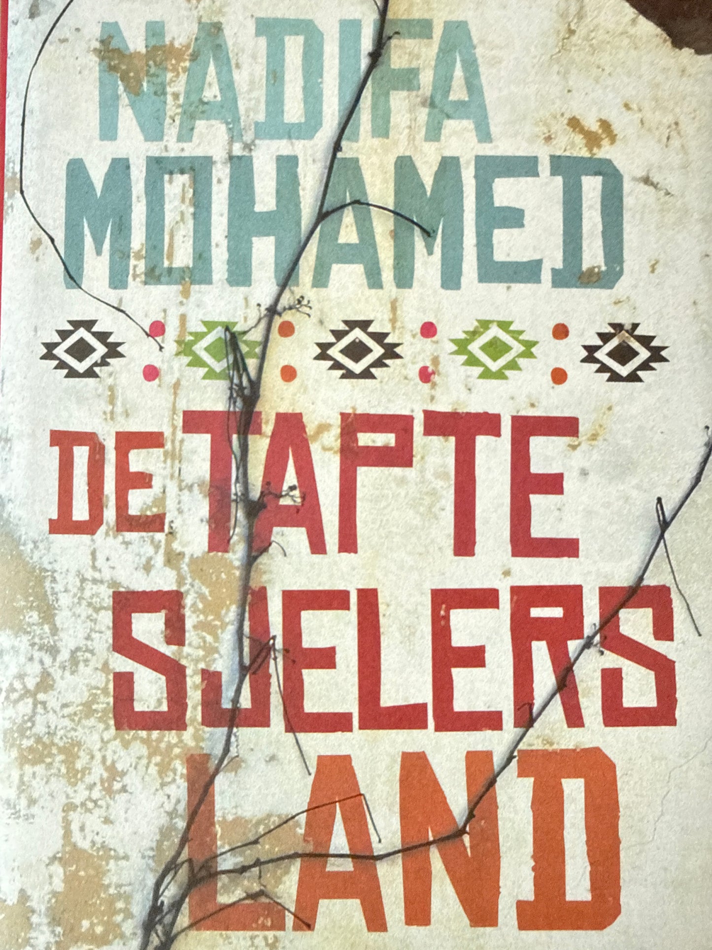 De tapte sjelers land - Innbundet