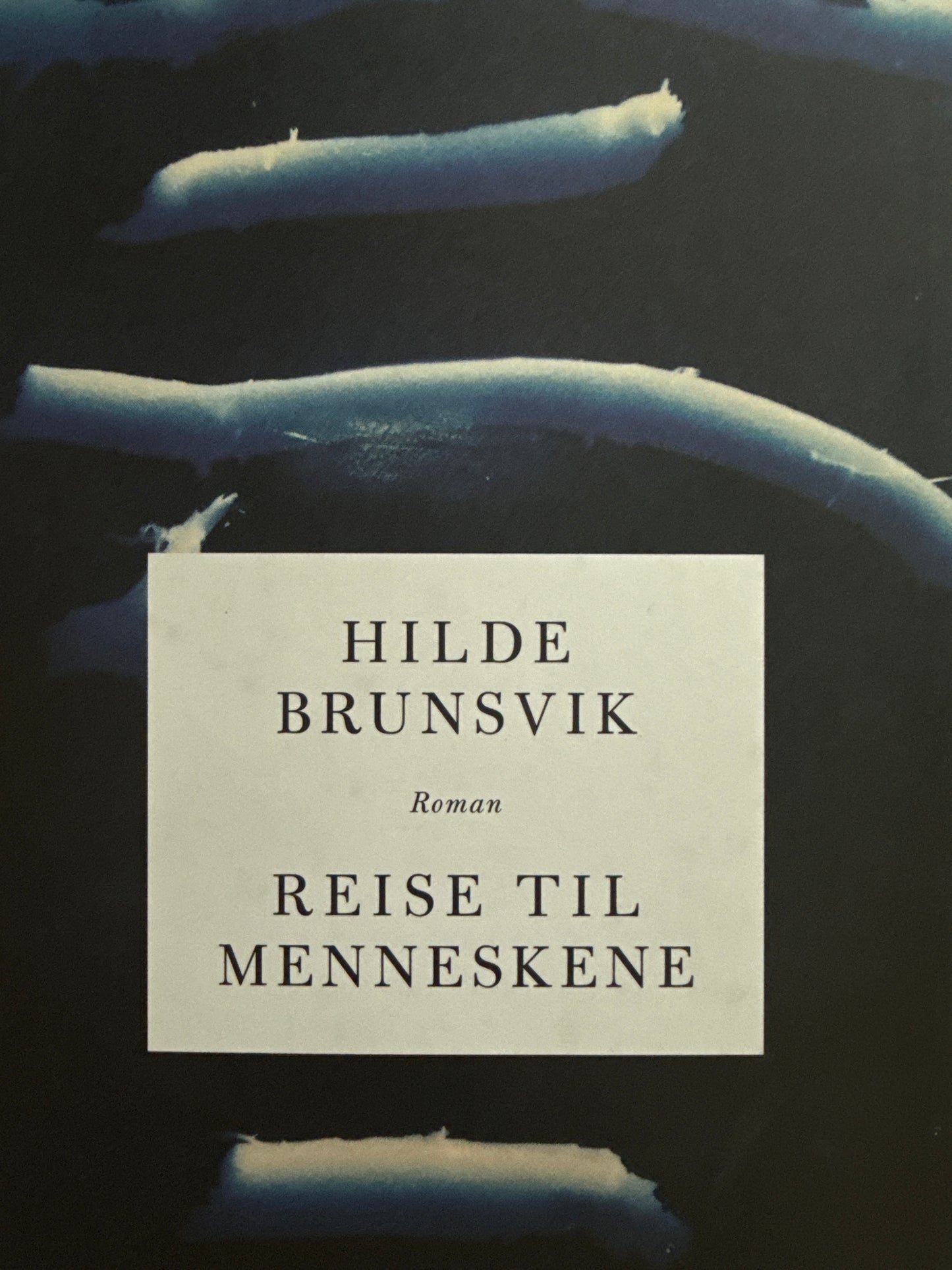 Reise til menneskene - Innbundet
