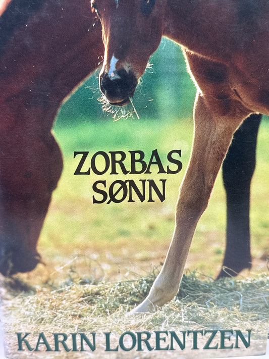 Zorbas sønn - Innbundet