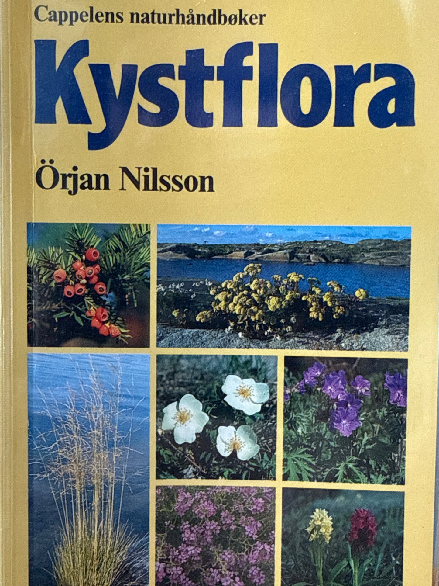 Kystflora - Pocket