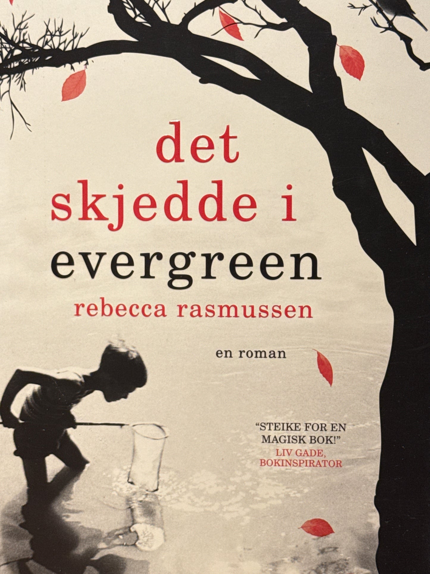 Det skjedde i Evergreen - Innbundet