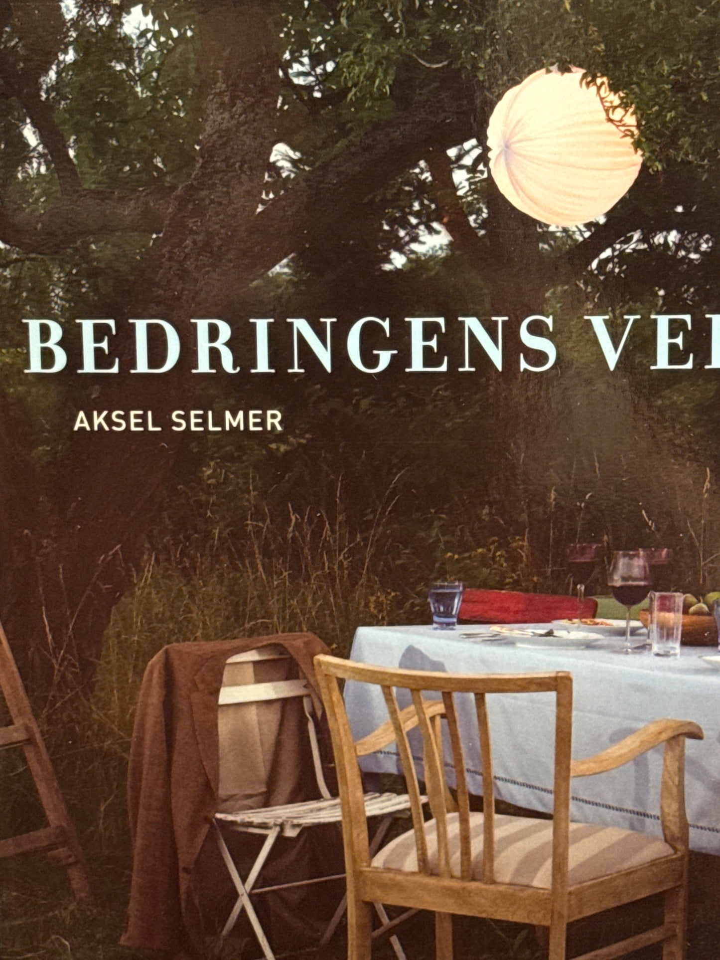 Bedringens vei - Innbundet