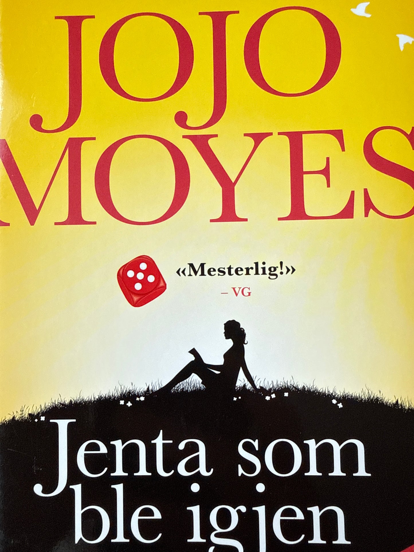 Jenta som ble igjen - Innbundet
