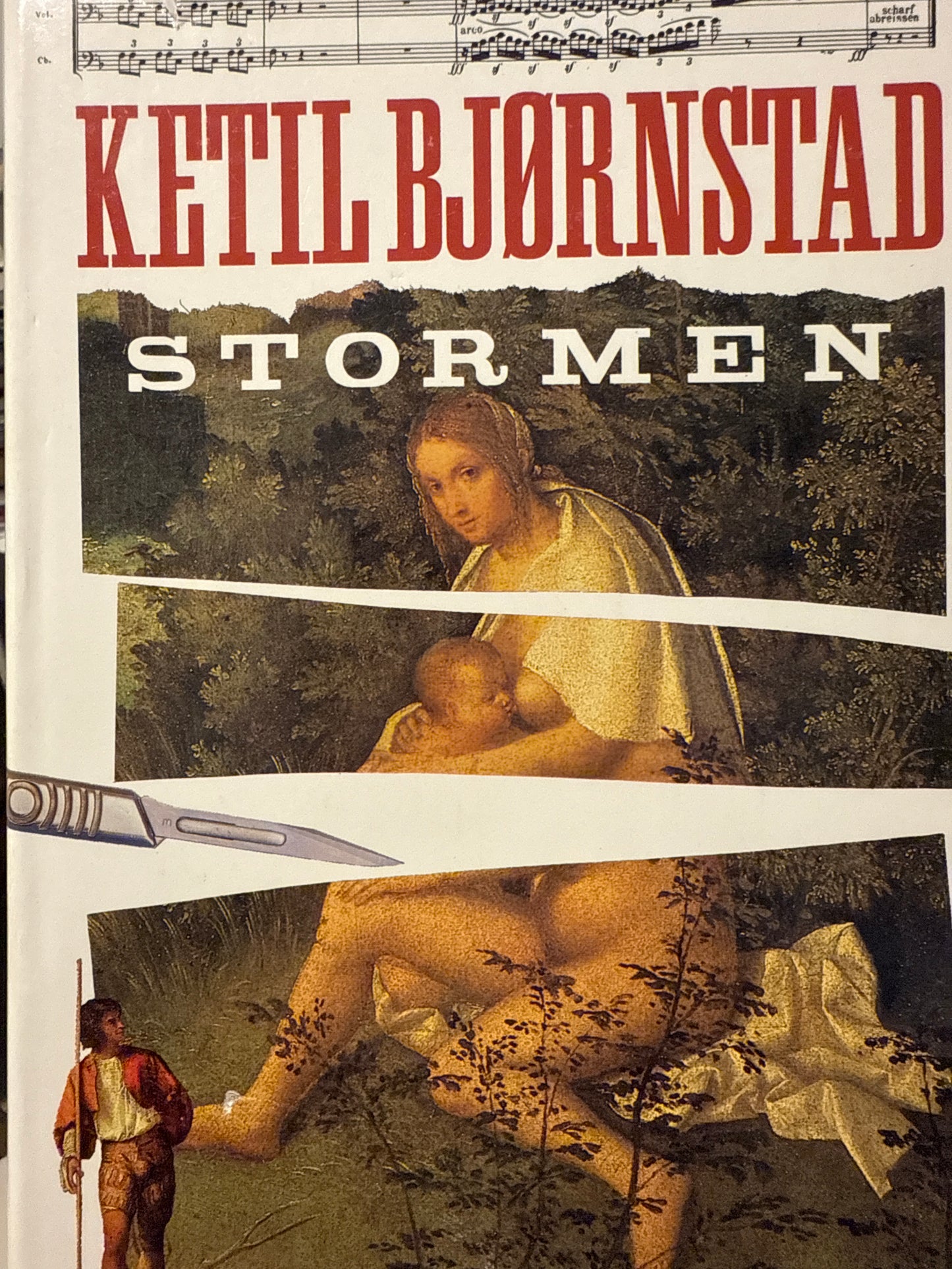 Stormen - Innbundet