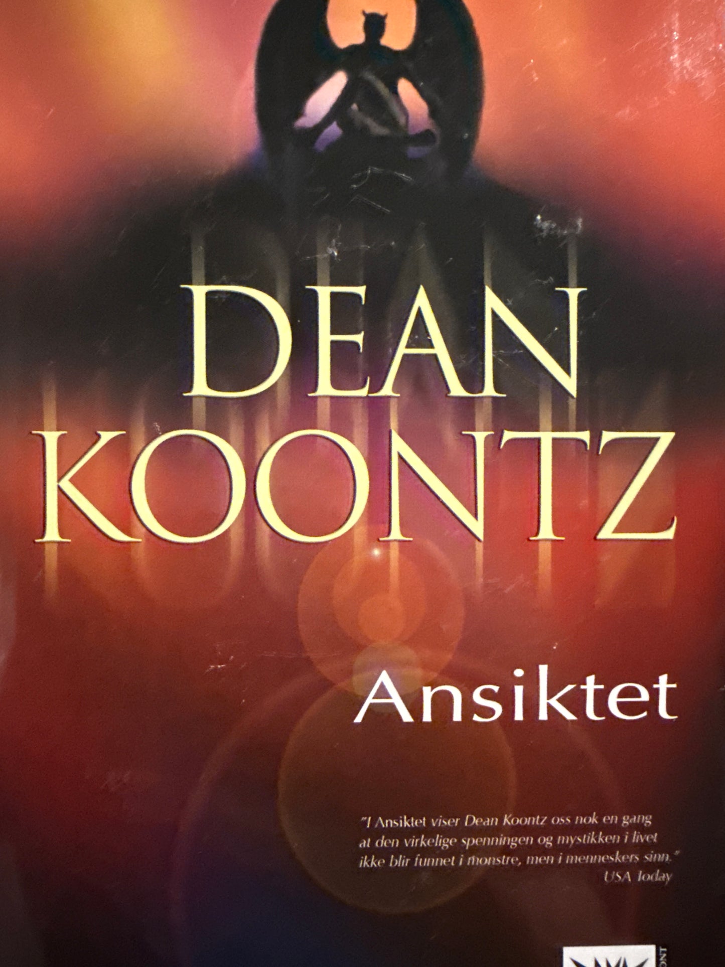 Ansiktet - Innbundet