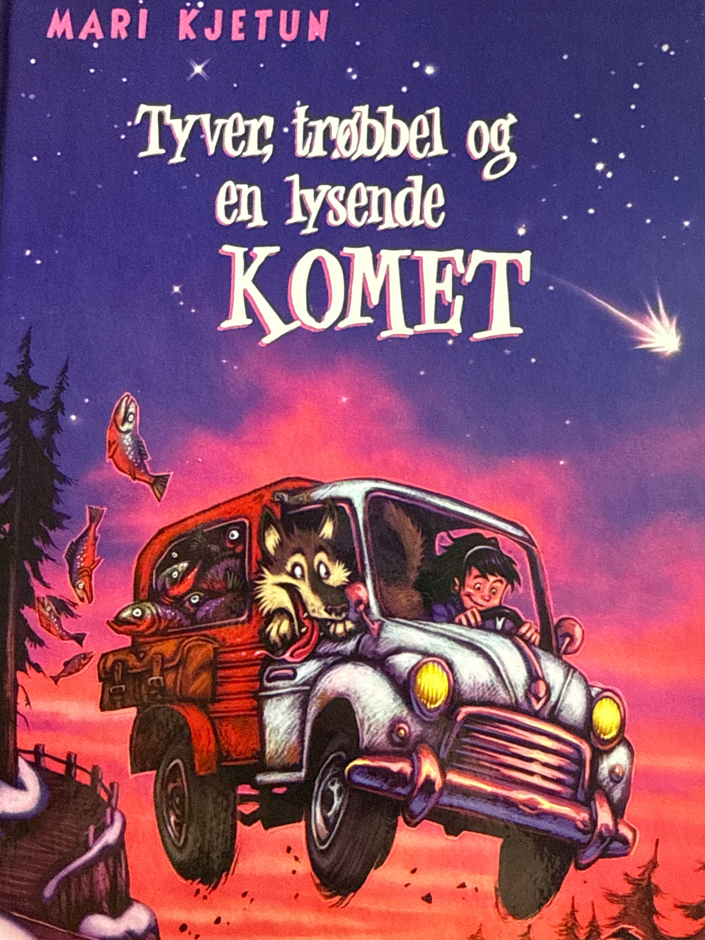 Tyver, trøbbel og en lysende komet - Innbundet