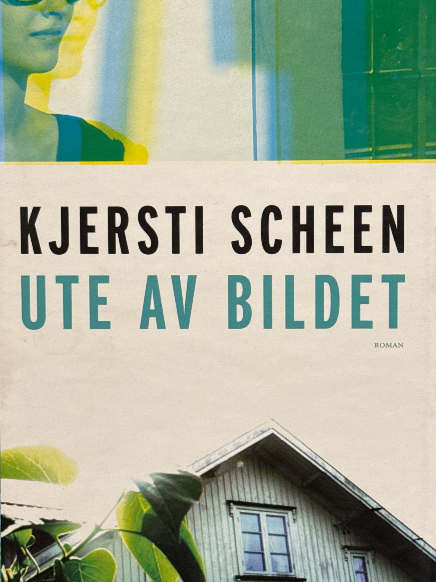 Ute av bildet - Innbundet