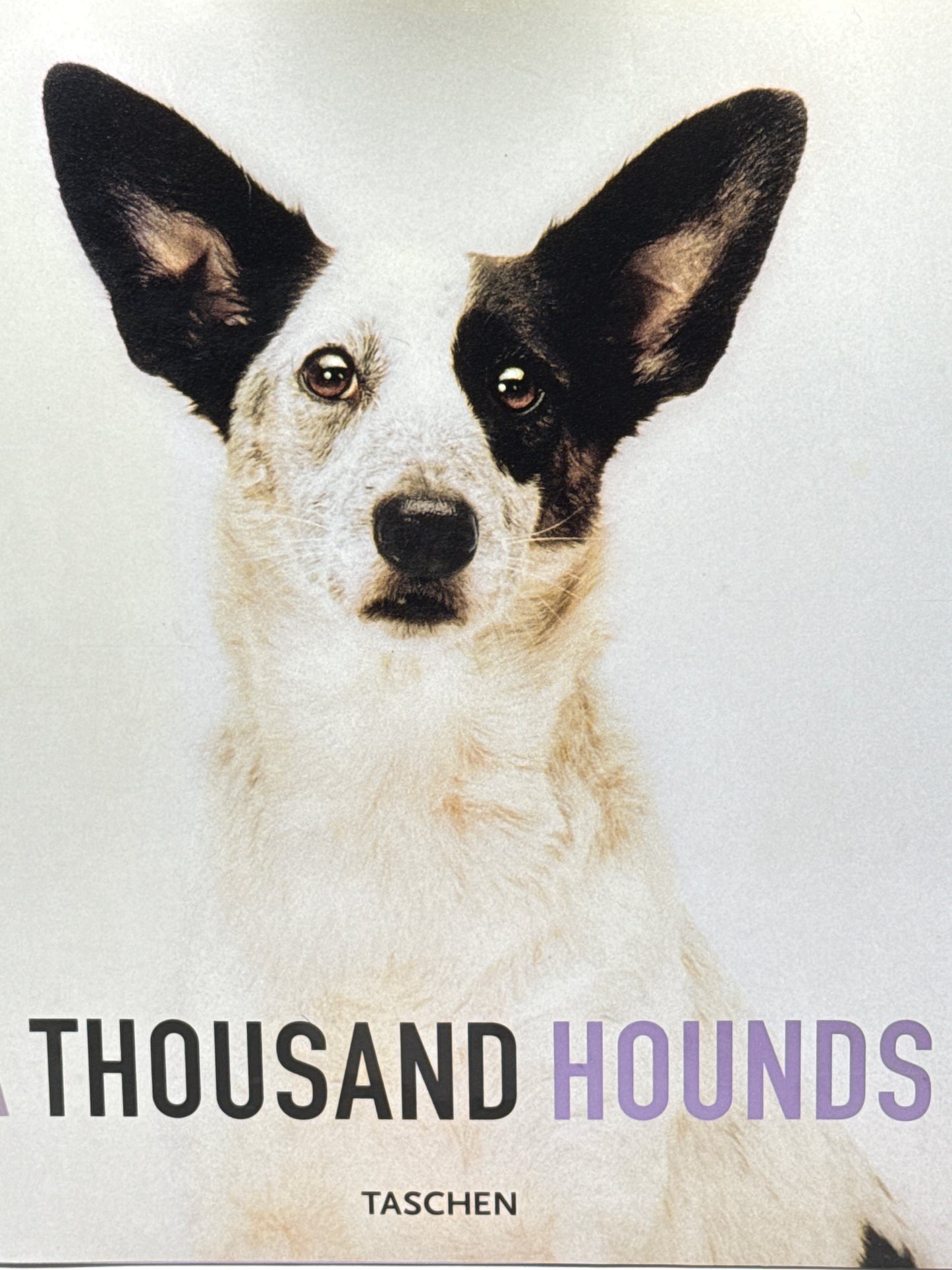 A Thousand Hounds - Innbundet