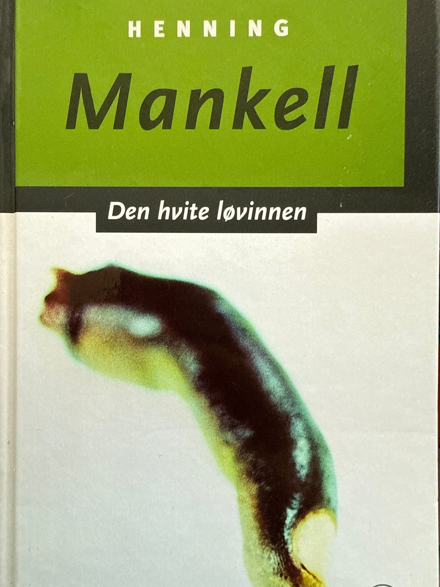 Den hvite løvinnen - Innbundet