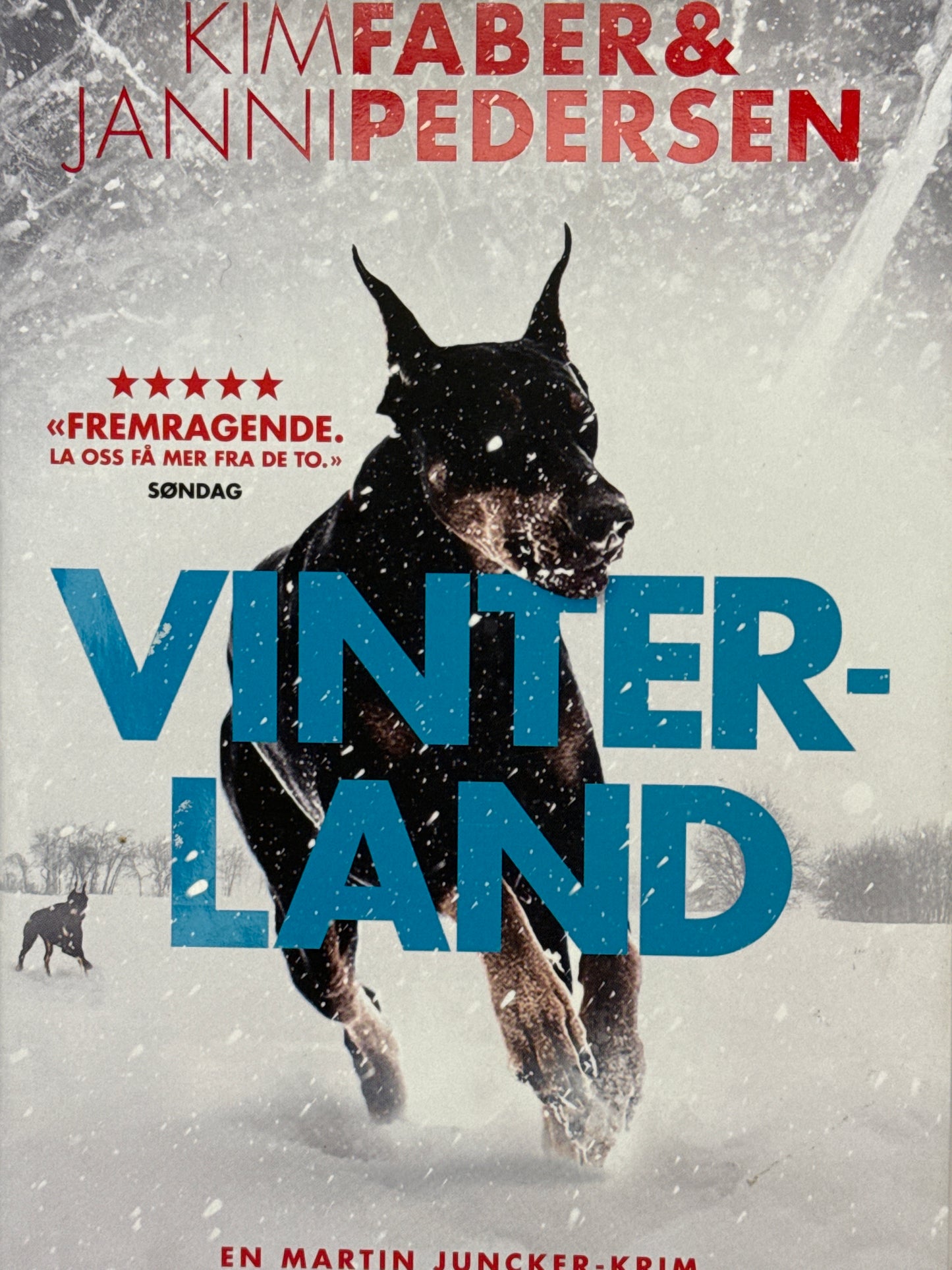 Vinterland - Innbundet