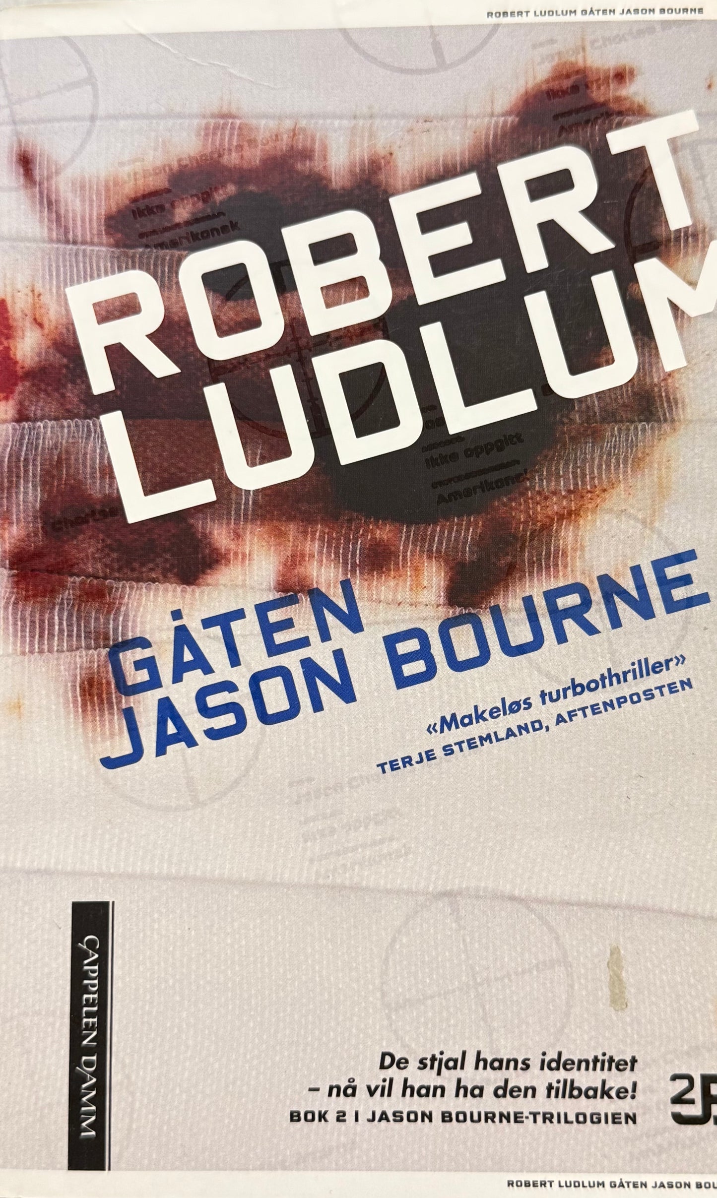 Gåten Jason Bourne - Pocket