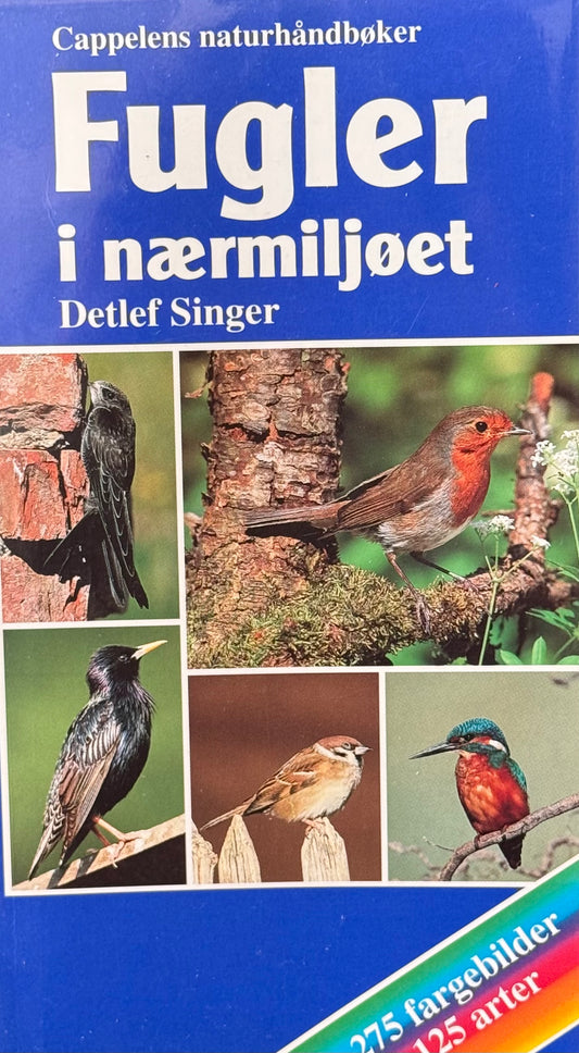 Fugler i naermiljøet - Pocket