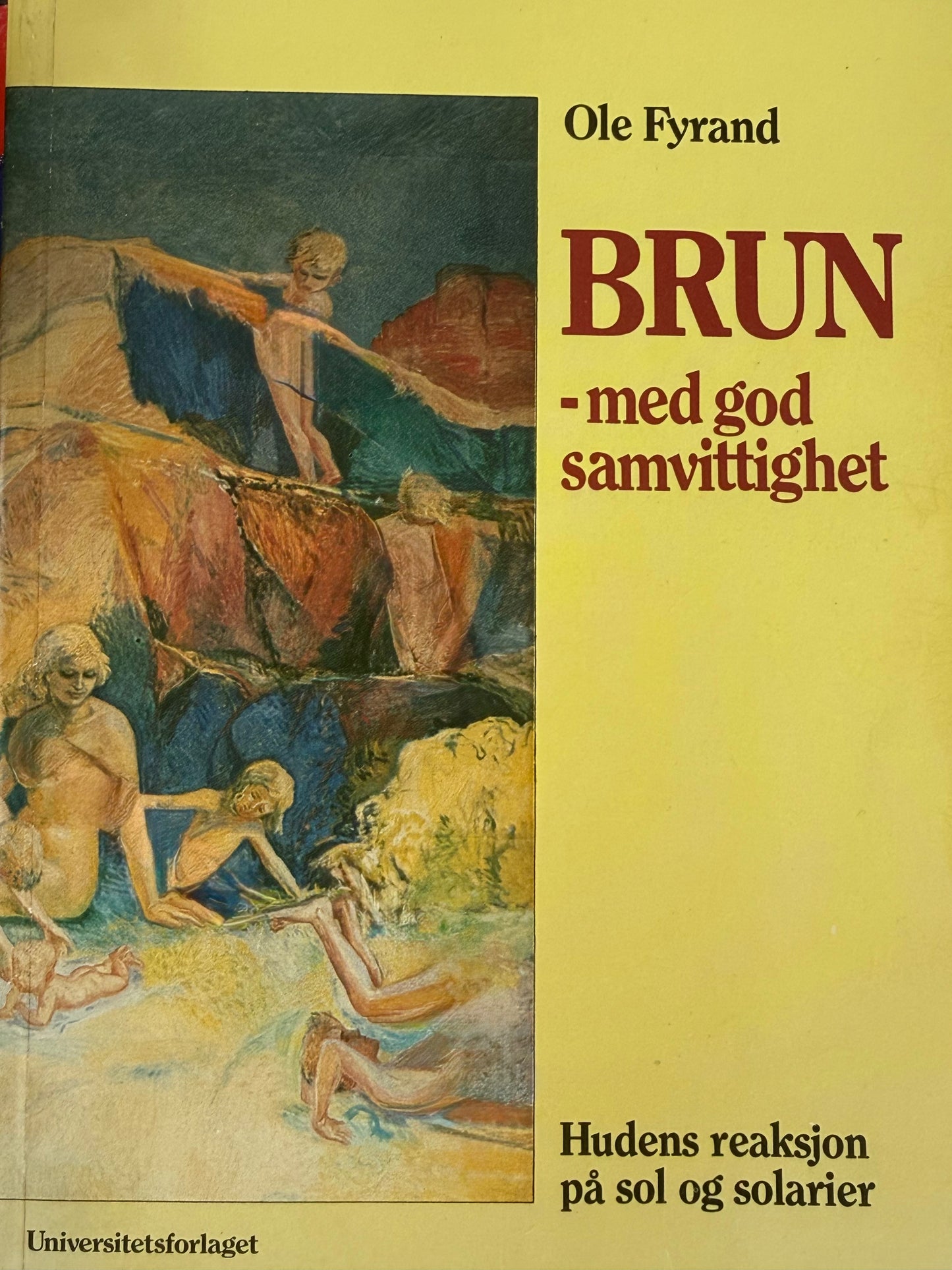 Brun - med god samvittighet - Pocket