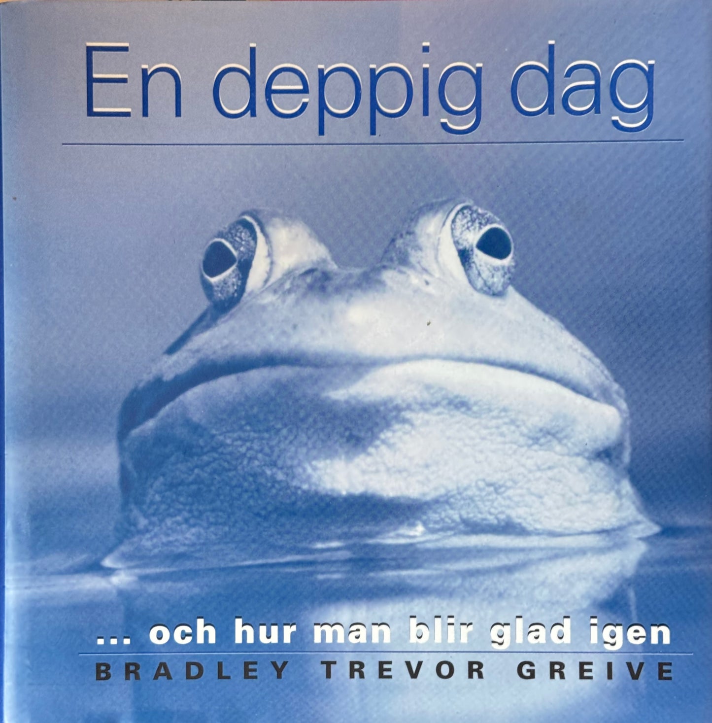 En deppig dag - Innbundet