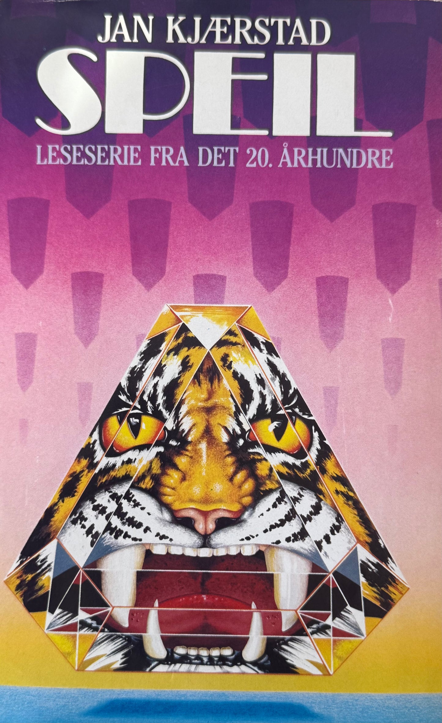 Speil - Innbundet