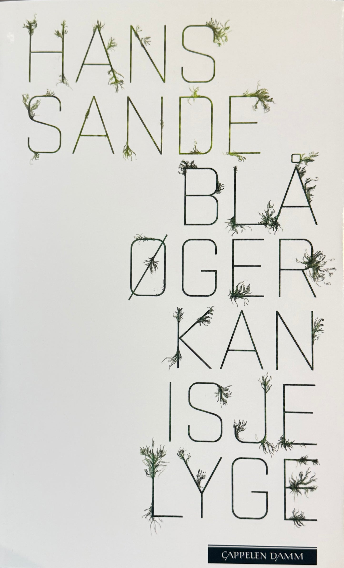 Blå øger kan isje lyge - Innbundet