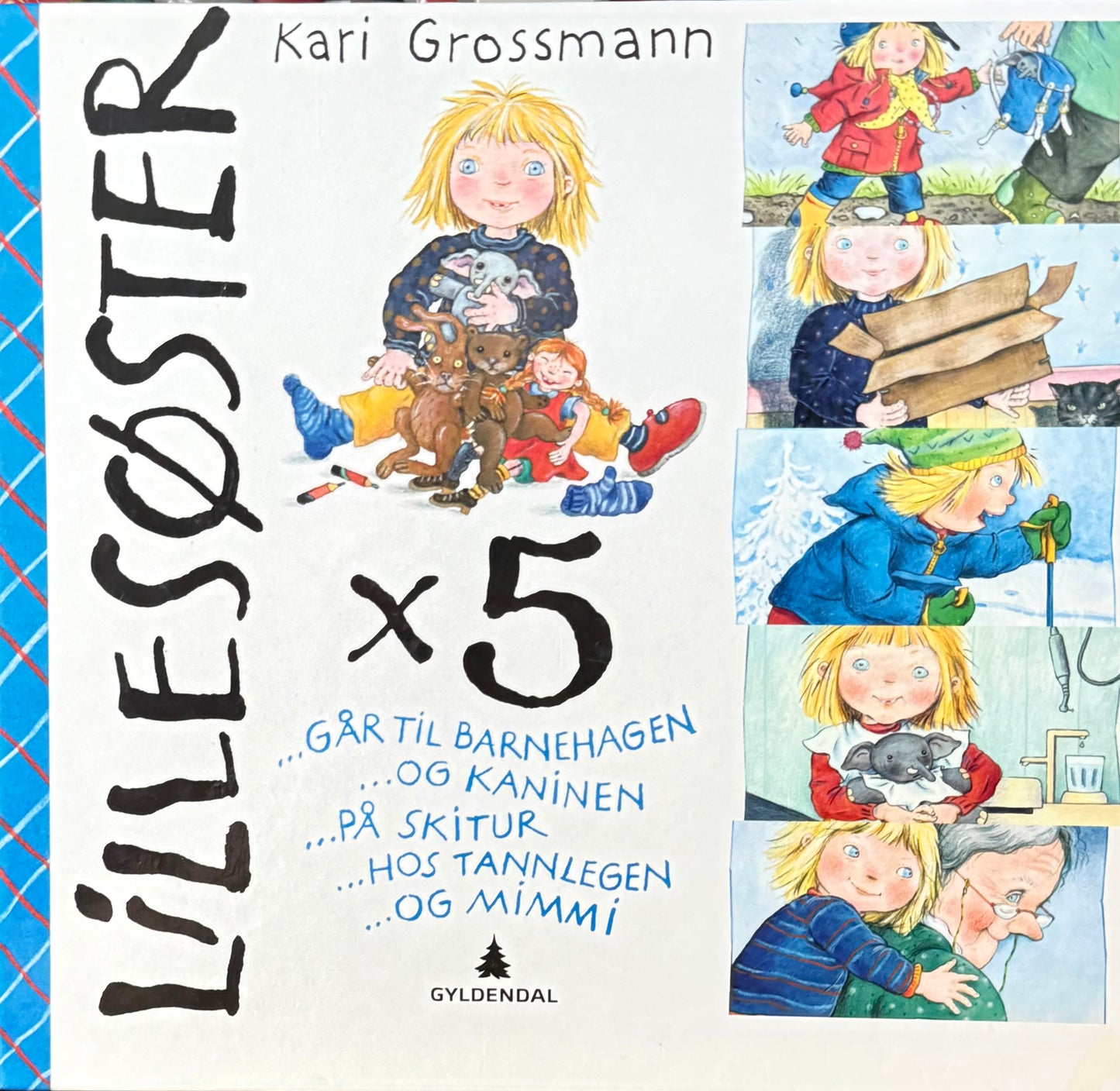Lillesøster x 5 - Innbundet