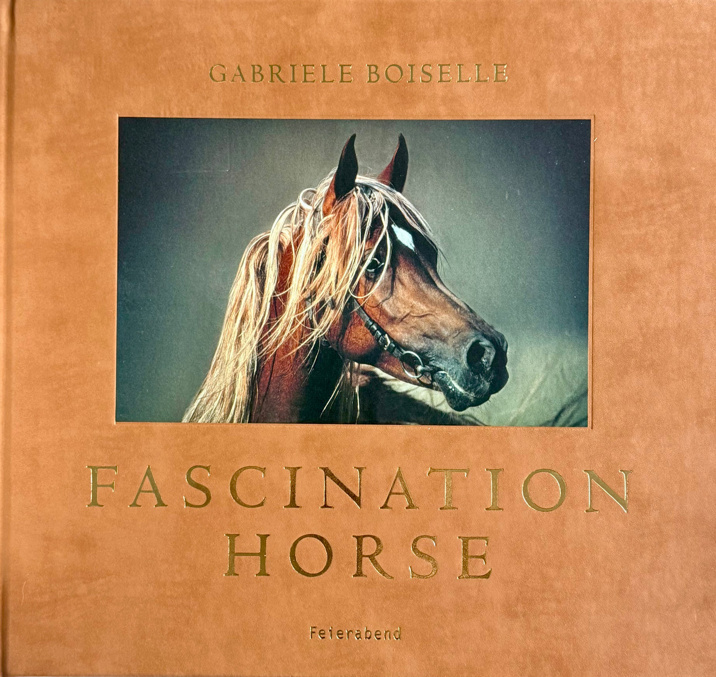 Fascination Horse - Innbundet