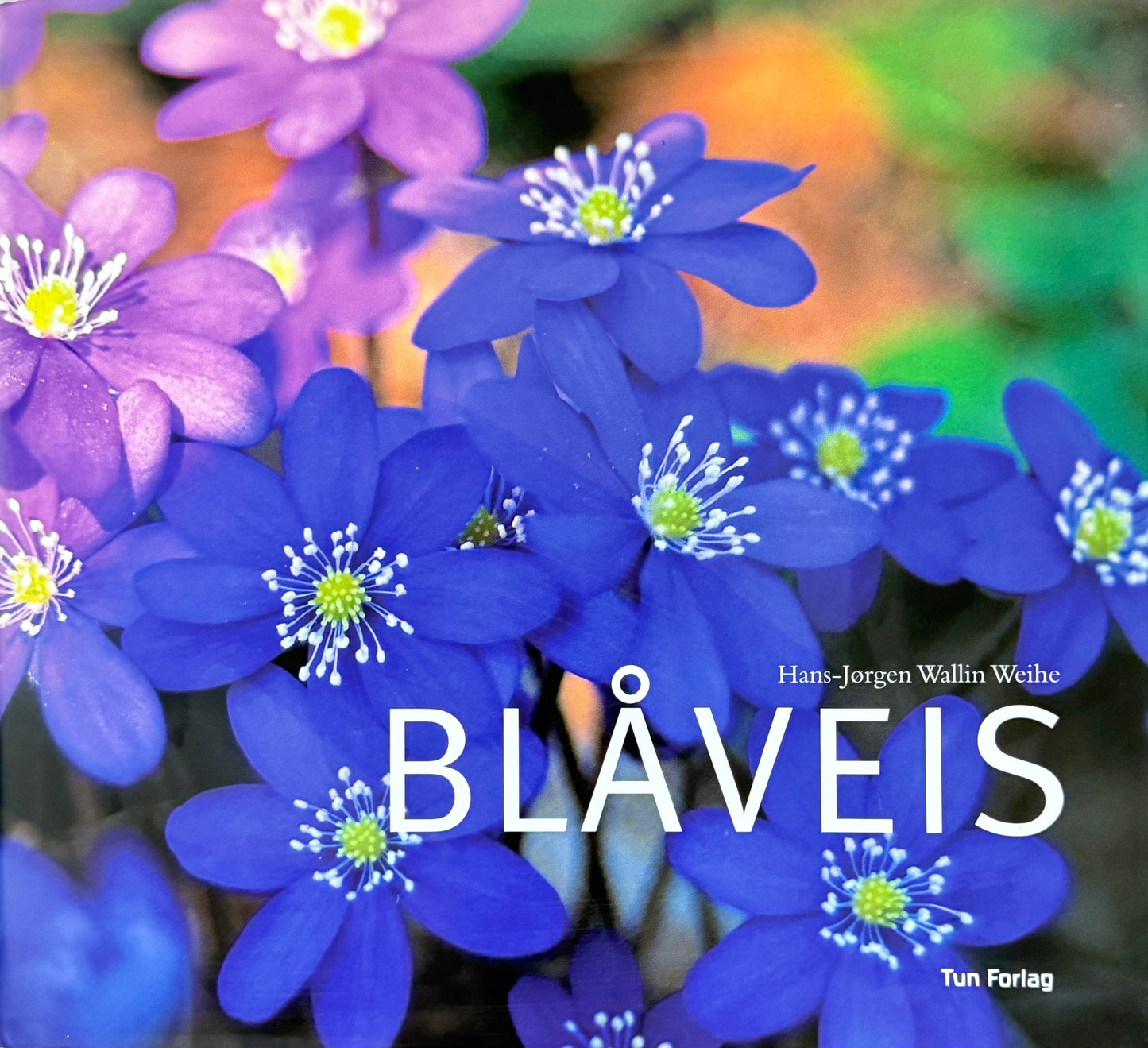 Blåveis - Innbundet