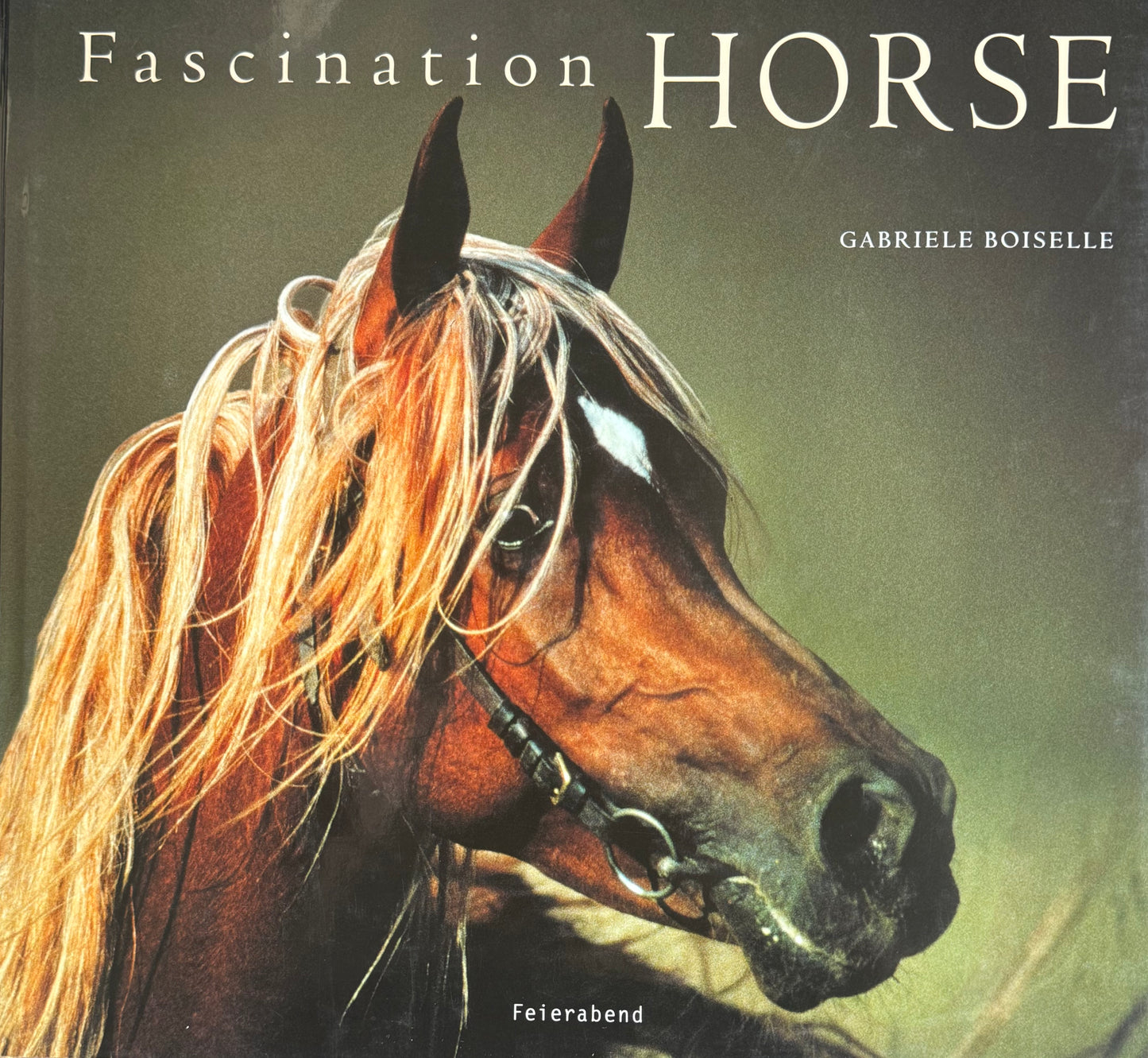 Fascination Horse - Innbundet