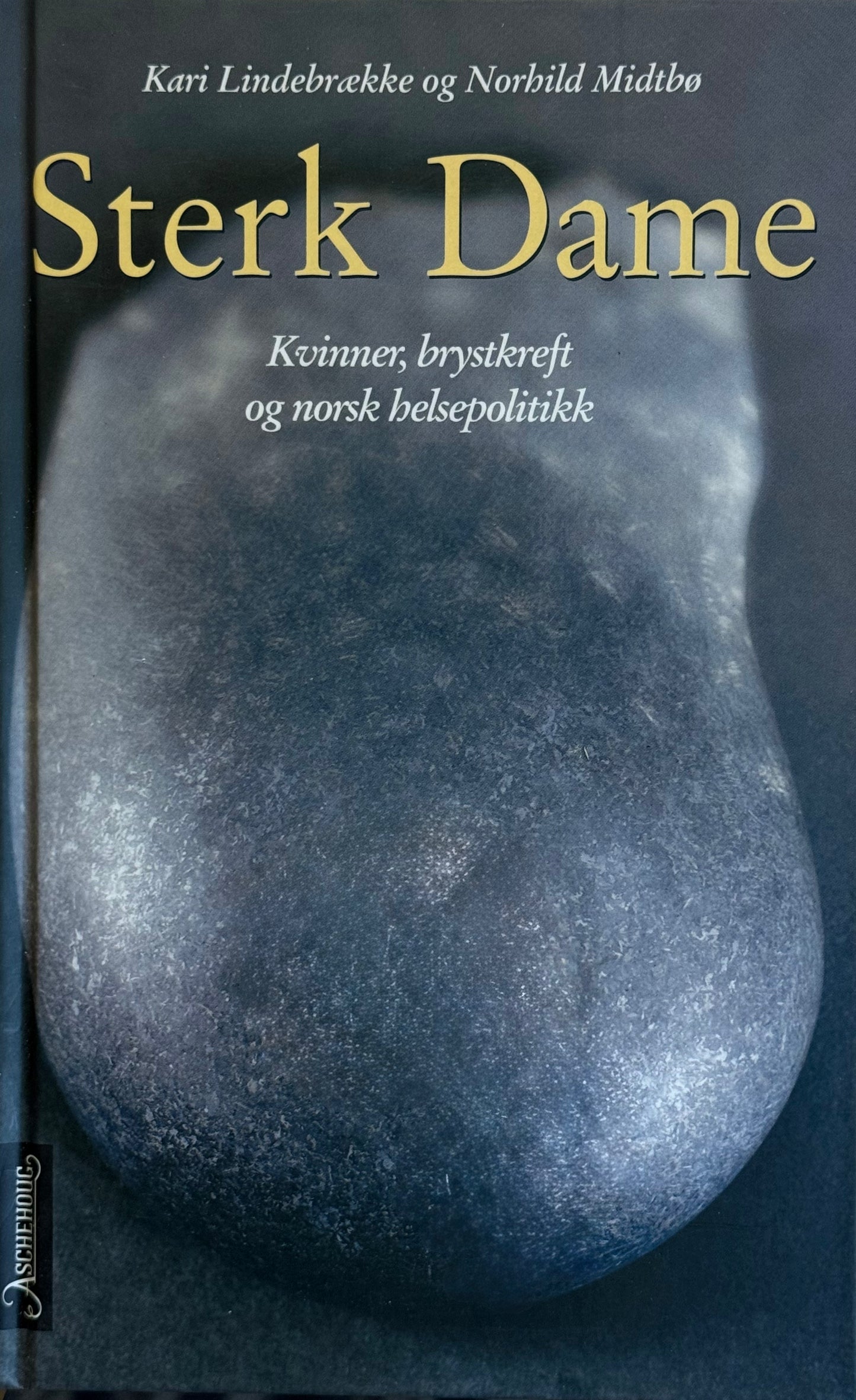 Sterk dame - Innbundet