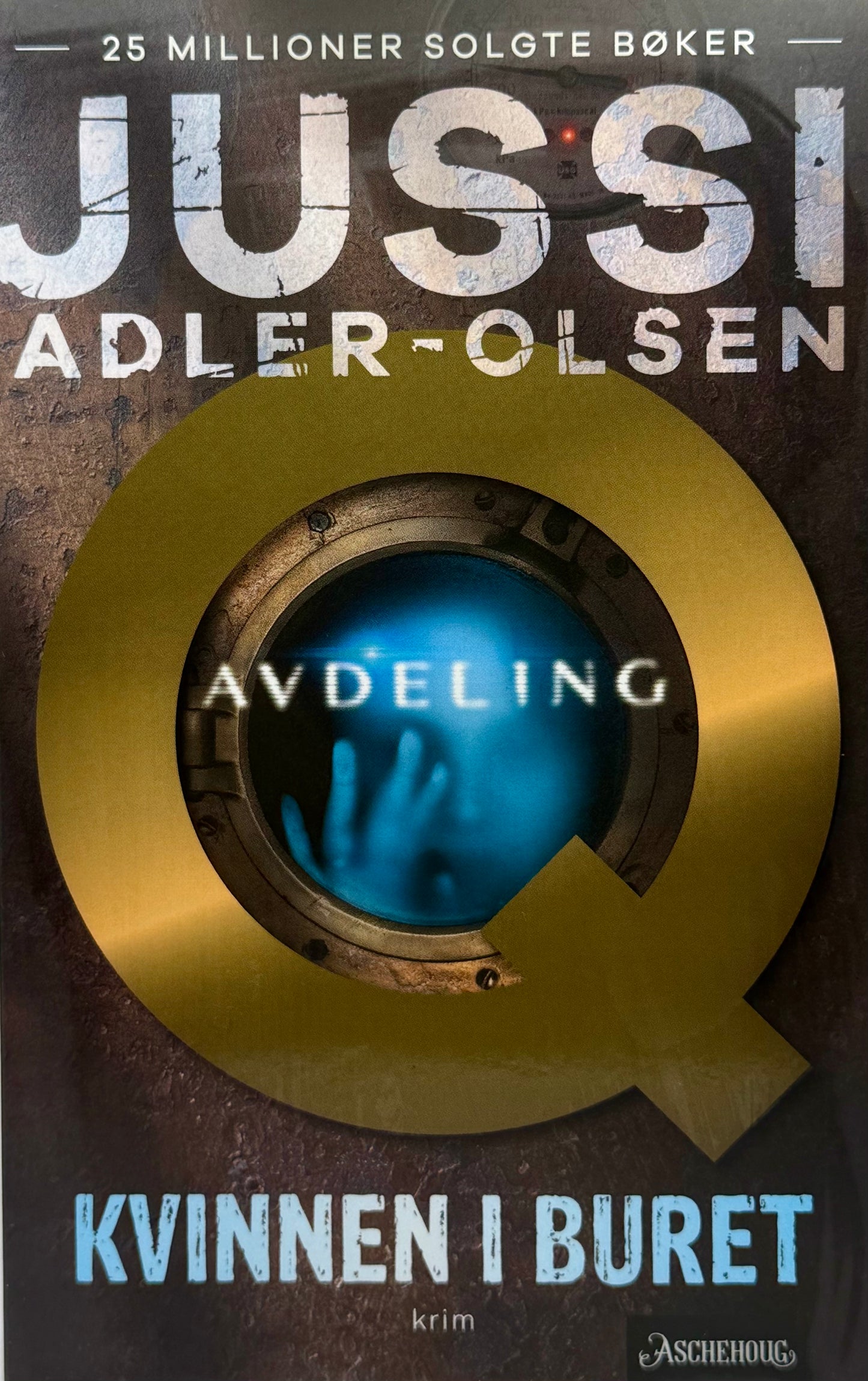 Kvinnen i buret - Pocket