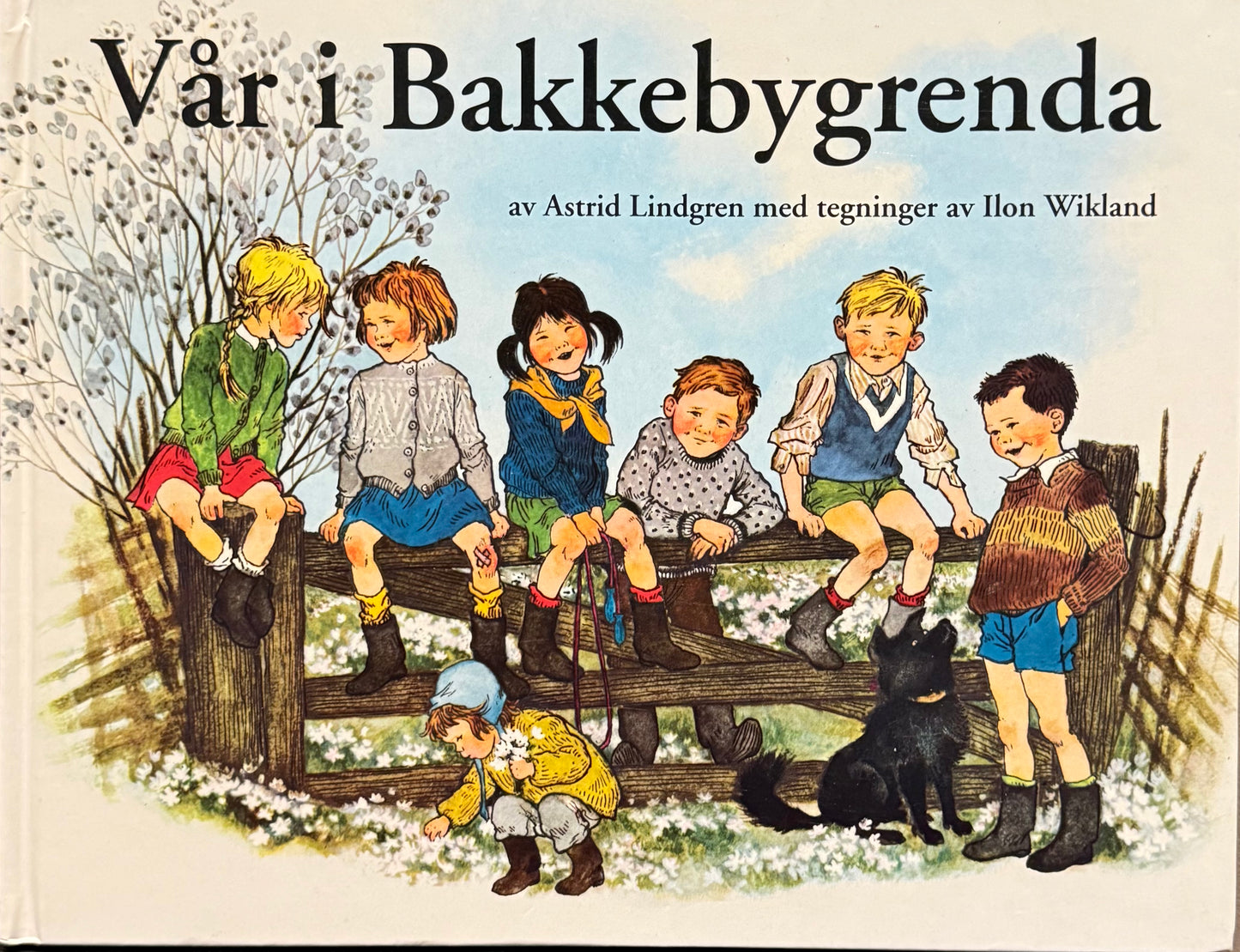 Vår i Bakkebygrenda - Innbundet