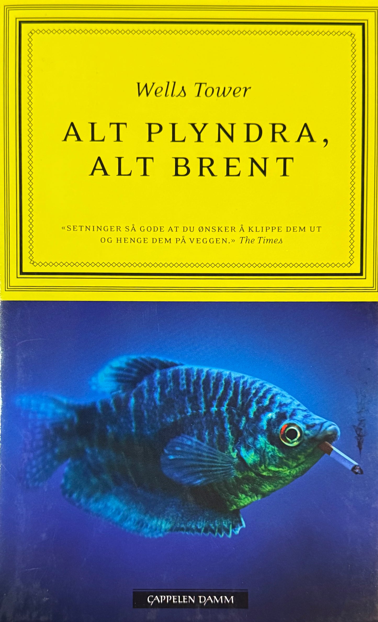 Alt plyndra, alt brent - Innbundet