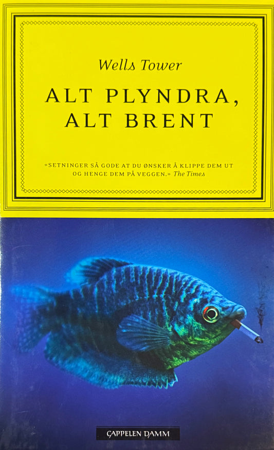 Alt plyndra, alt brent - Innbundet
