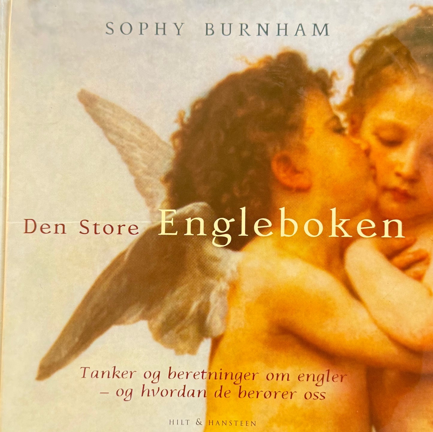 Den store engleboken - Innbundet