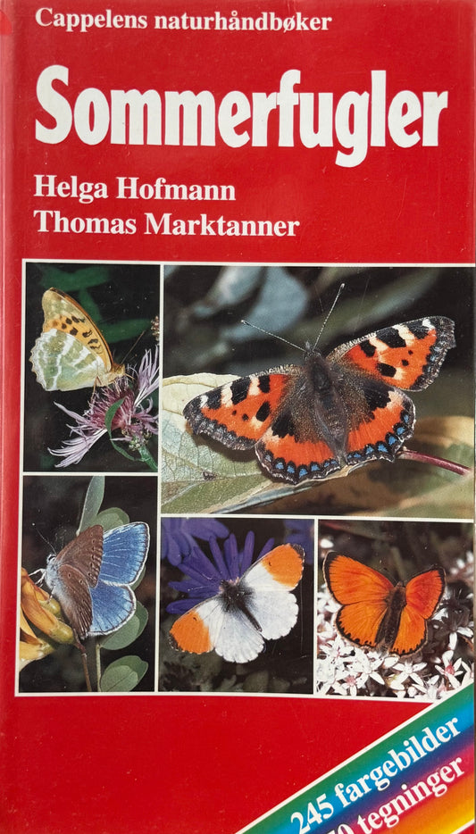 Sommerfugler - Pocket