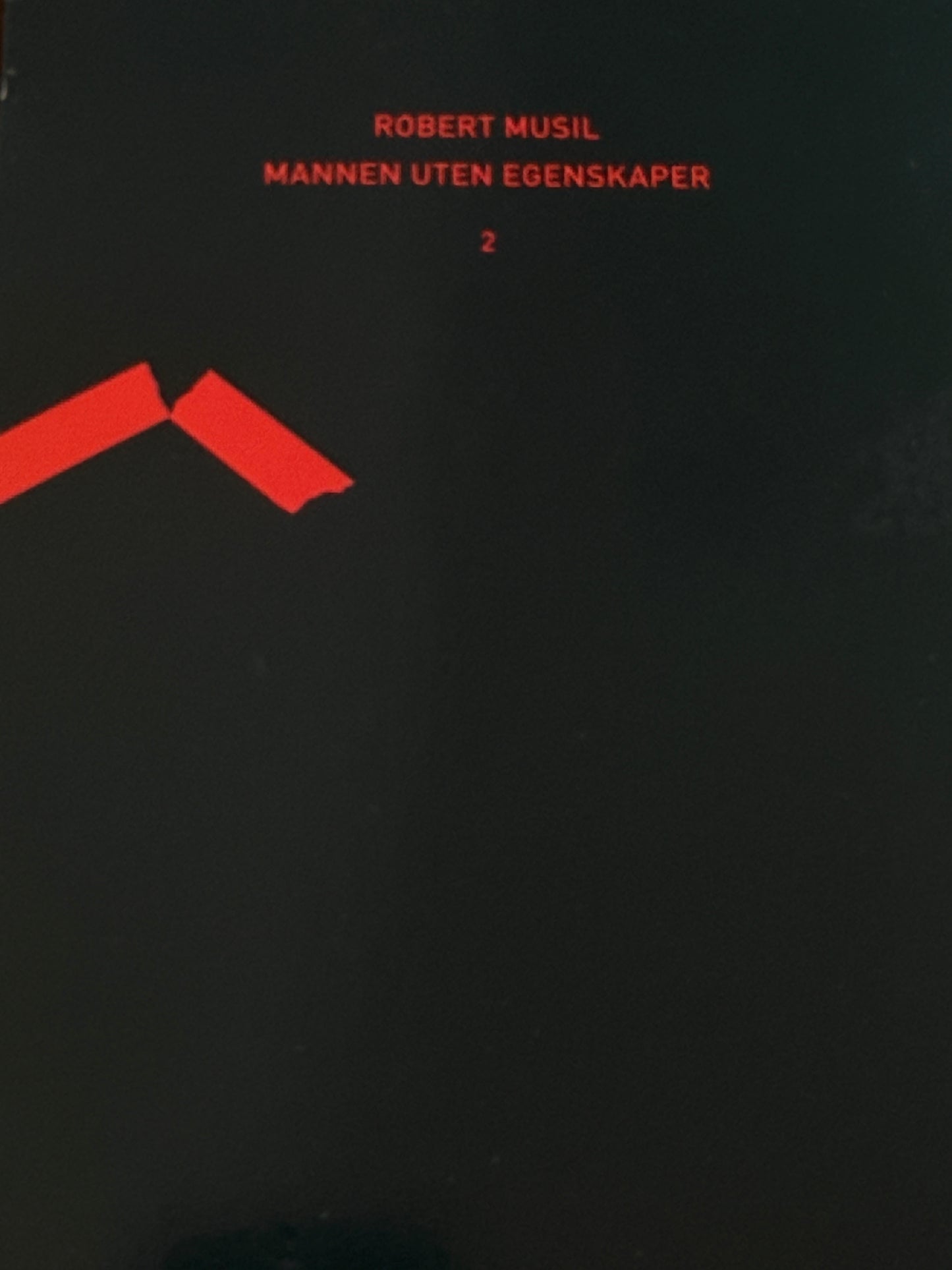 Mannen uten egenskaper ; Bind 2 - Pocket