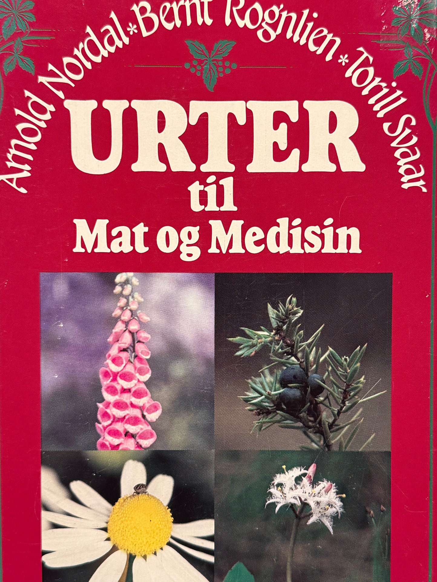 Urter til mat og medisin - Pocket