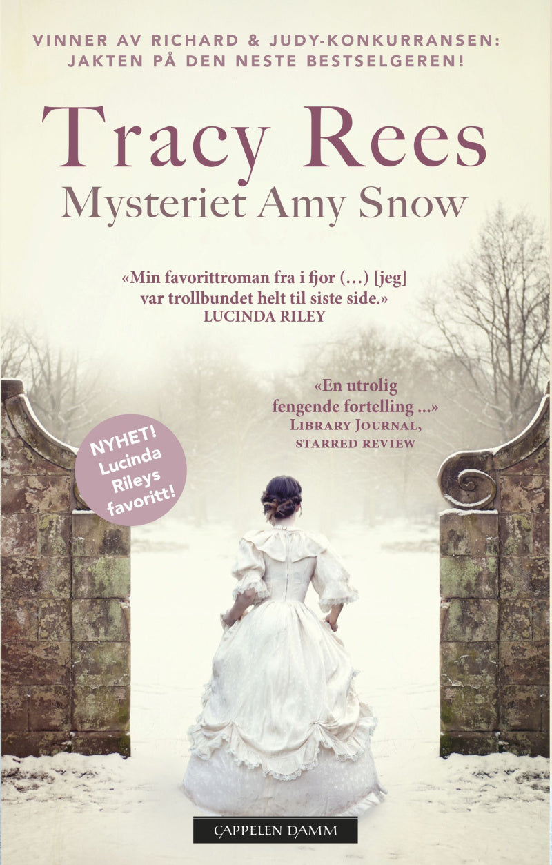 Mysteriet Amy Snow - Pocket