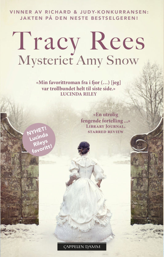 Mysteriet Amy Snow - Pocket