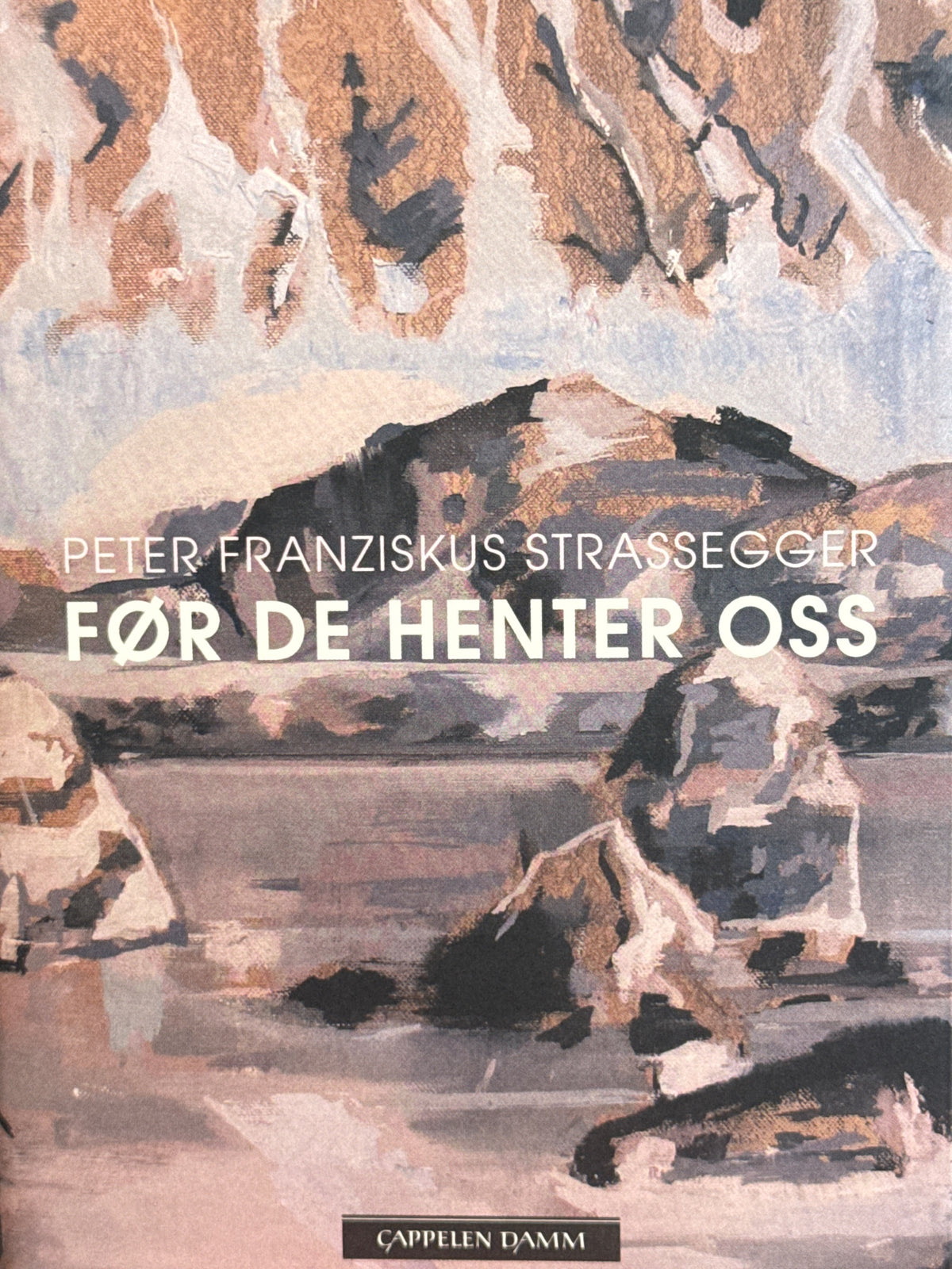 Forside av Før de henter oss av Peter Franziskus Strassegger 