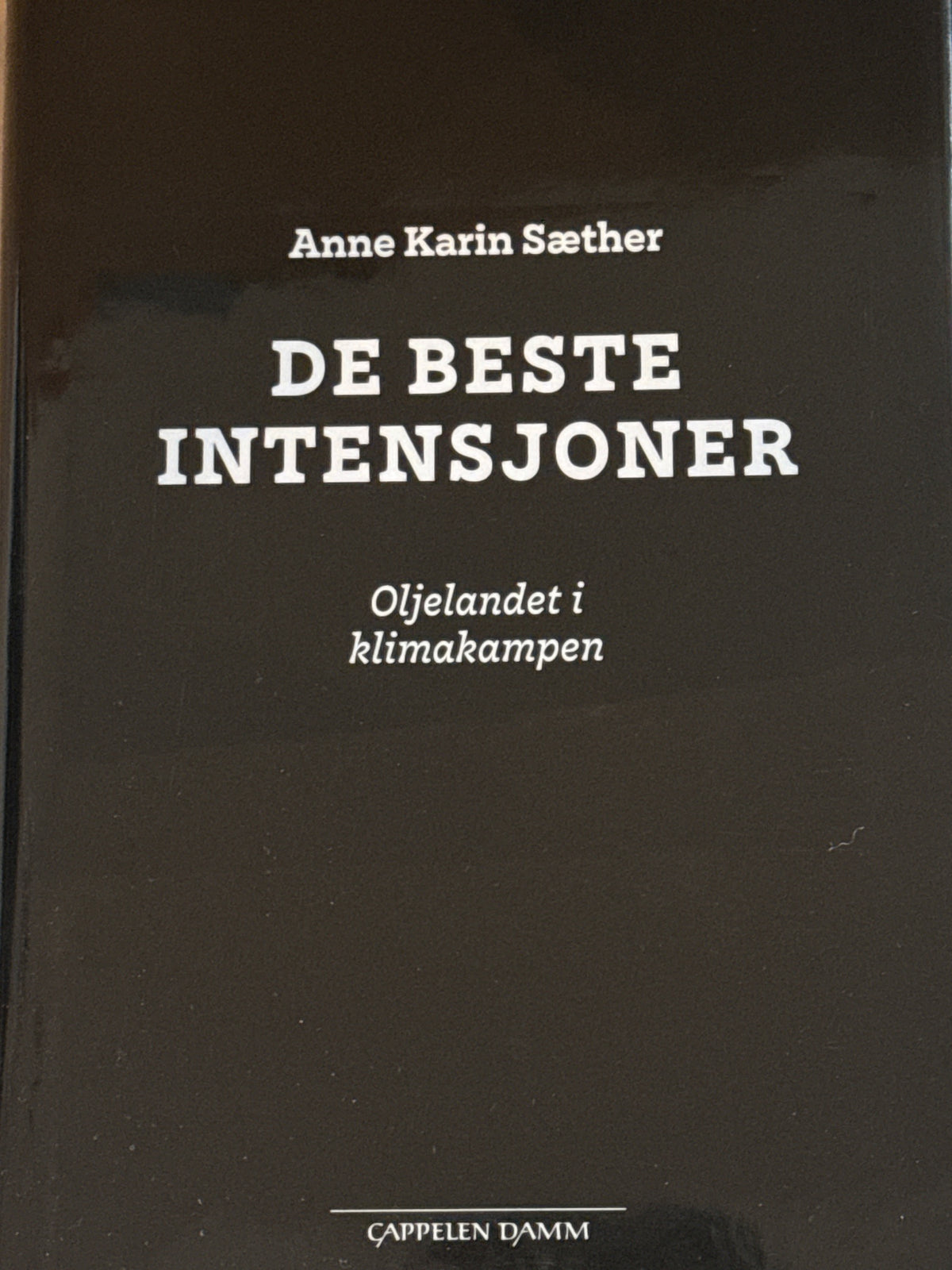 Forside av De beste intensjoner av Anne Karin Sæther 