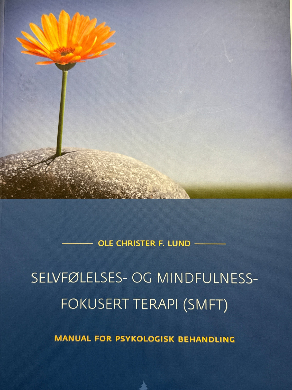 Forside av Selvfølelses- og mindfulness-fokusert terapi (SMFT) av Ole Christer Finset Lund 