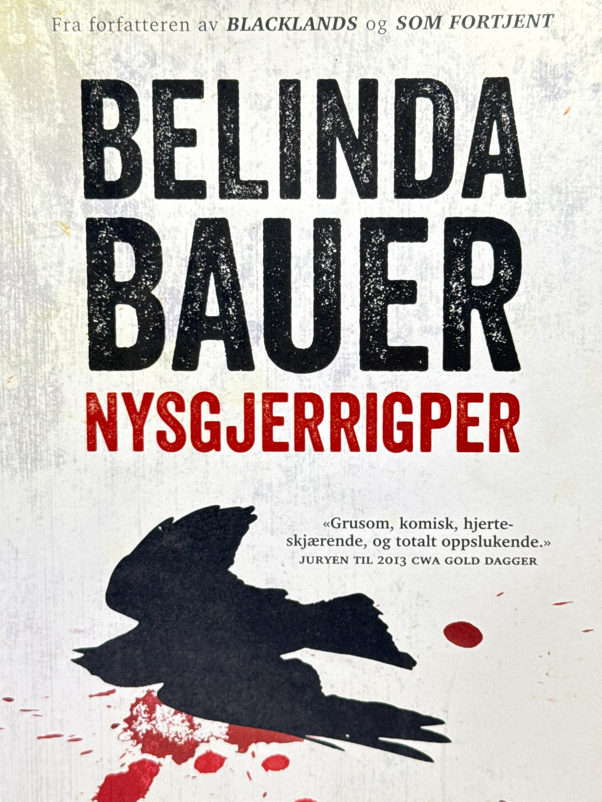 Forside av Nysgjerrigper av Belinda Bauer 