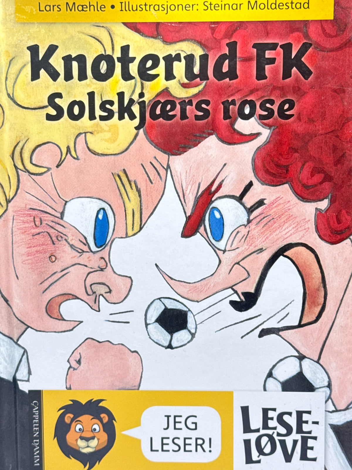 Forside av Knoterud FK Solskjærs rose av Lars Mæhle 