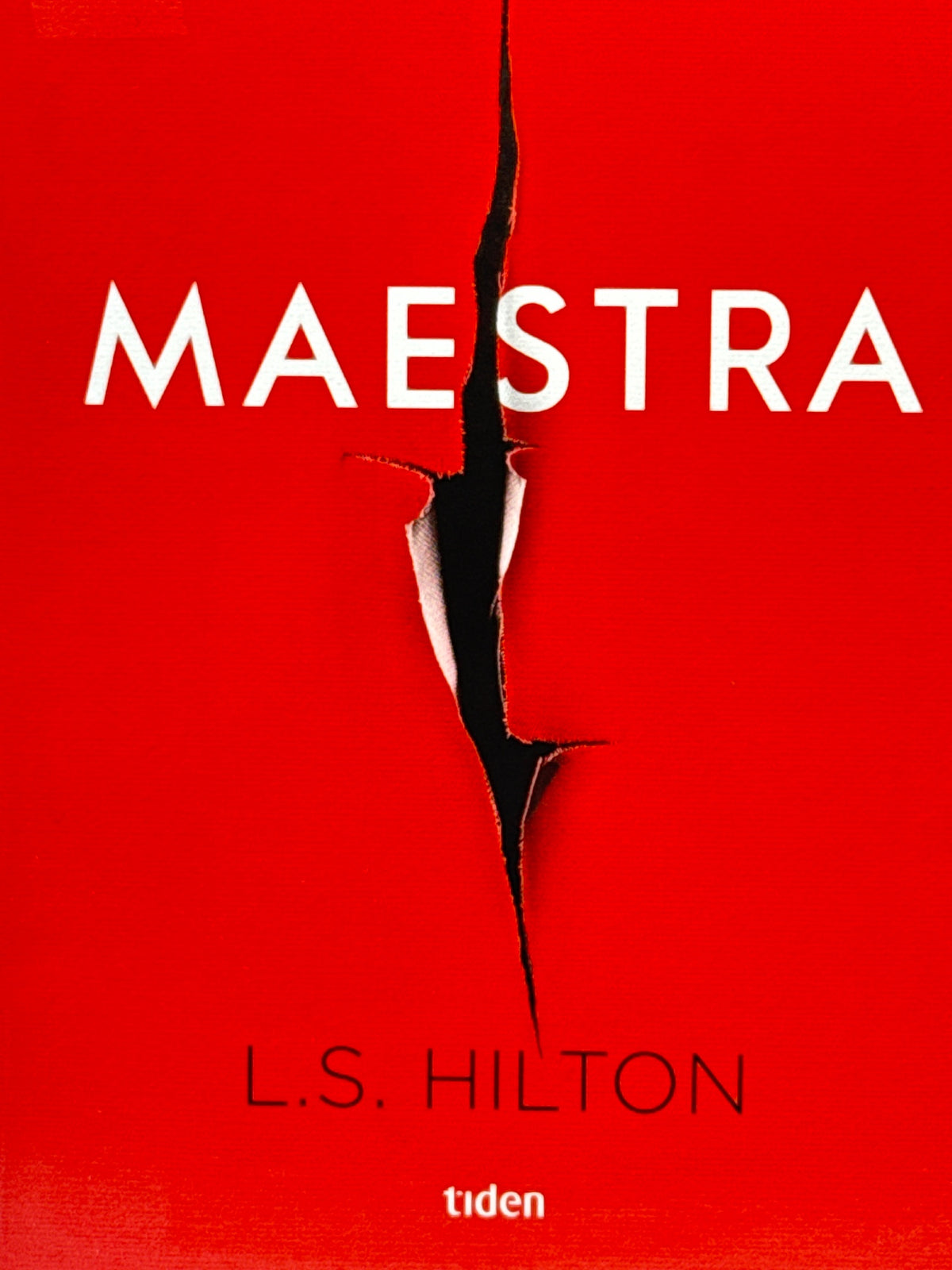Forside av Maestra av L. S. Hilton 