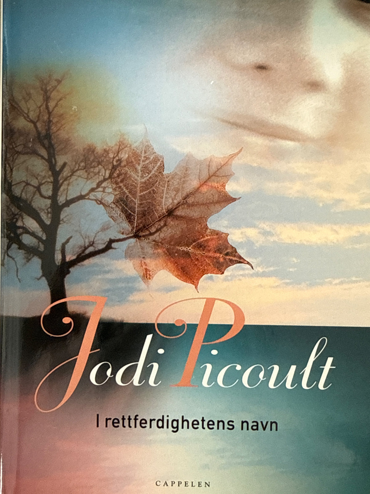 Forside av I rettferdighetens navn av Jodi Picoult 