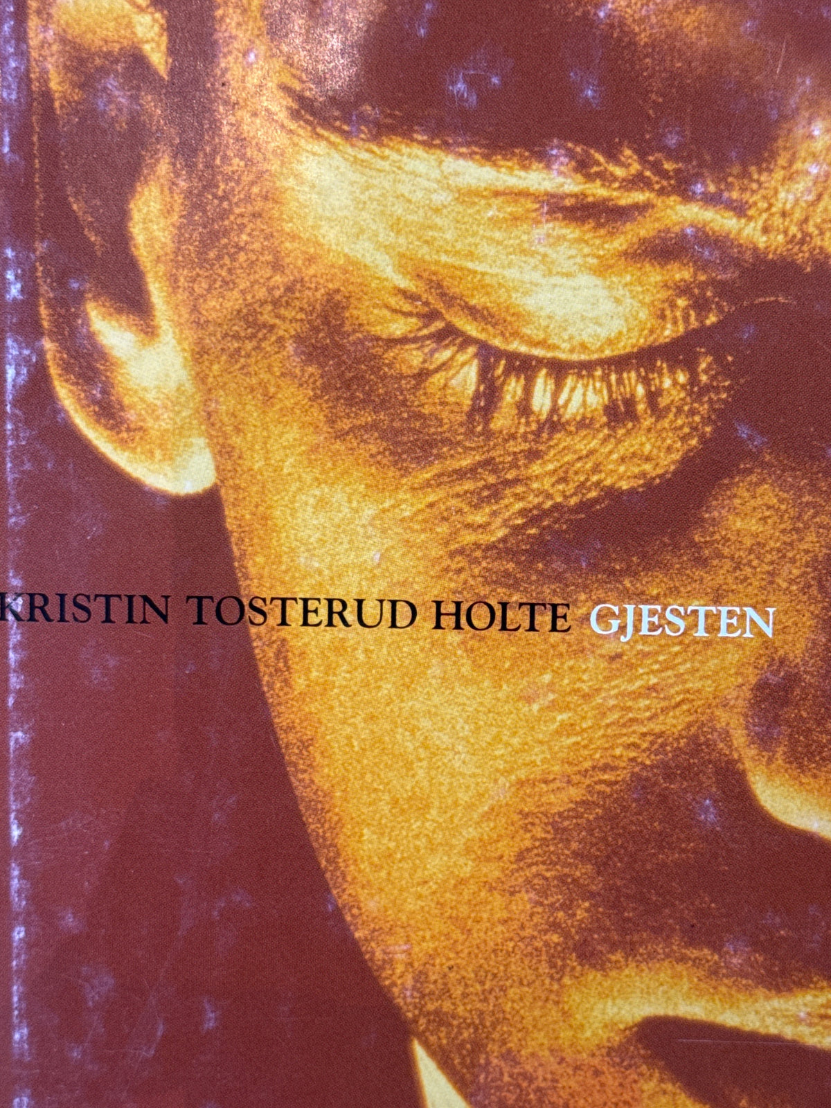 Forside av Gjesten av Kristin Tosterud Holte 