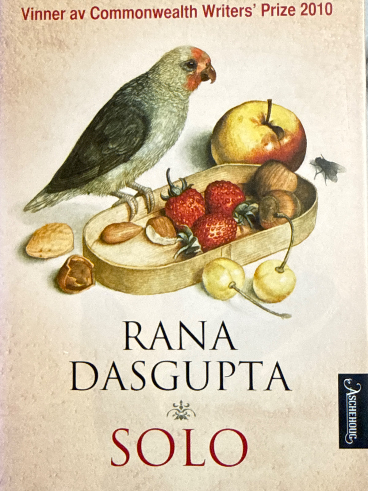 Forside av Solo av Rana Dasgupta 