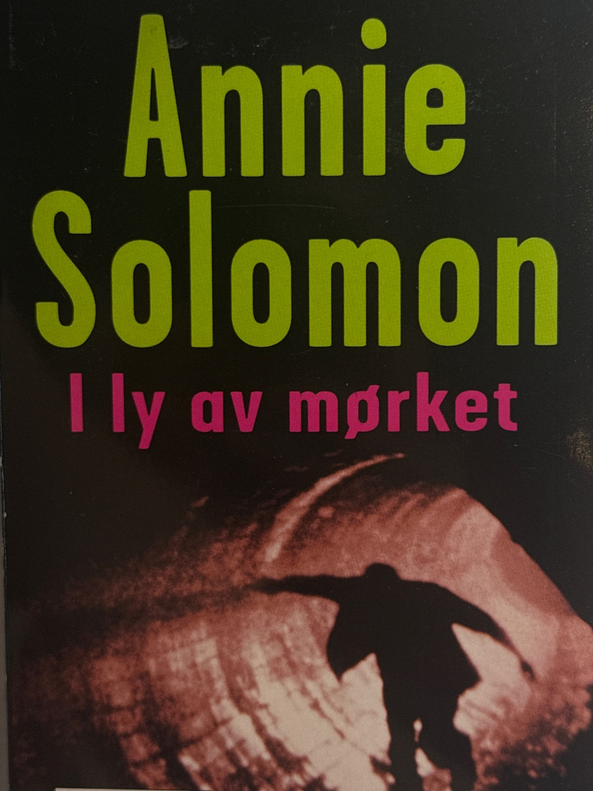 Forside av I ly av mørket av Annie Solomon 