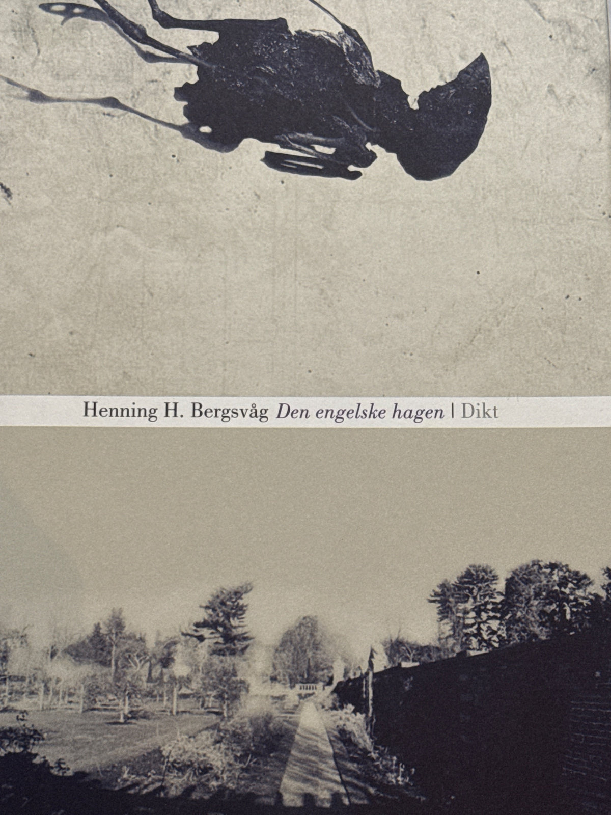 Forside av Den engelske hagen av Henning H. Bergsvåg 