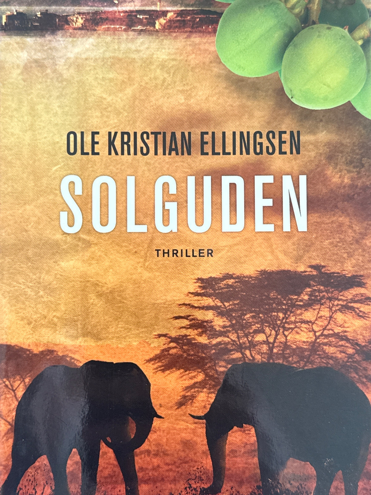 Forside av Solguden av Ole Kristian Ellingsen 