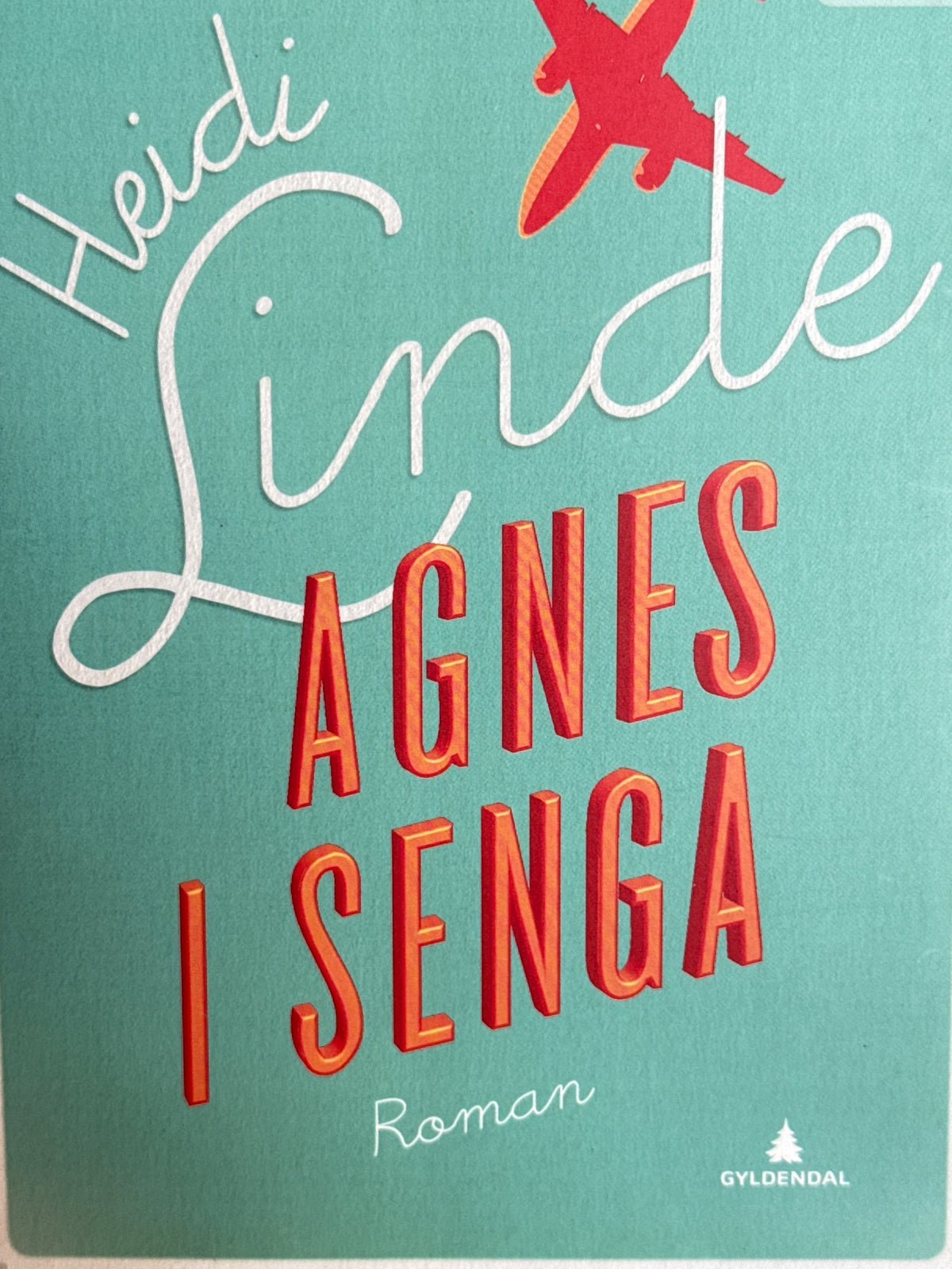 Forside av Agnes i senga av Heidi Linde 